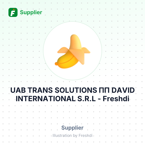 UAB TRANS SOLUTIONS ПП DAVID INTERNATIONAL S.R.L – summary card, no photo uploaded yet