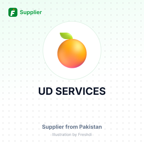 UD SERVICES – summary card, no photo uploaded yet