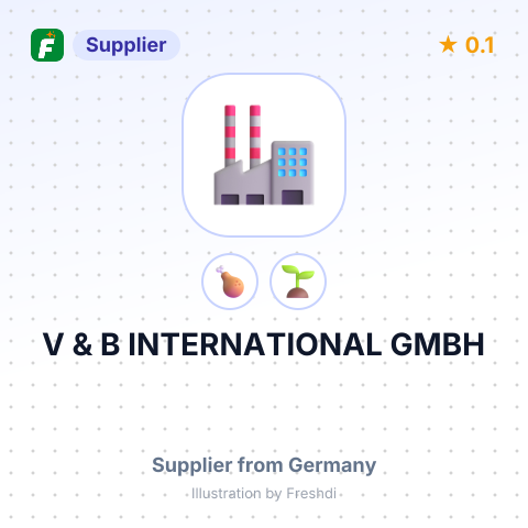 V & B INTERNATIONAL GMBH – summary card, no photo uploaded yet