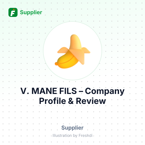 V. MANE FILS – summary card, no photo uploaded yet