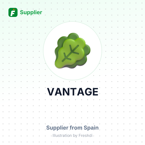 VANTAGE – summary card, no photo uploaded yet