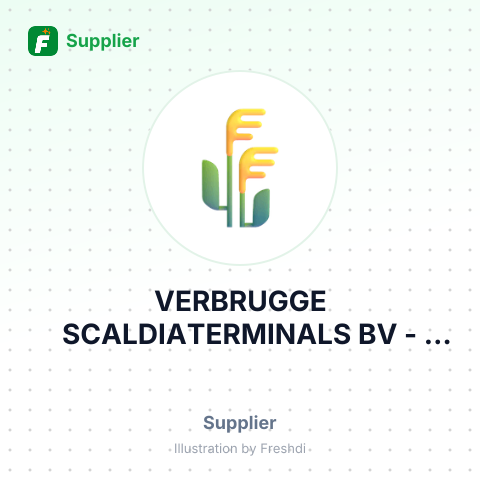 VERBRUGGE SCALDIATERMINALS BV – summary card, no photo uploaded yet