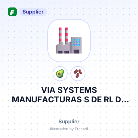 VIA SYSTEMS MANUFACTURAS S DE RL DE CV – summary card, no photo uploaded yet