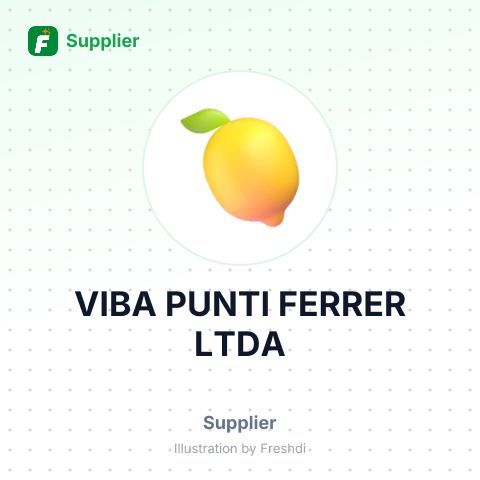 VIBA PUNTI FERRER LTDA – summary card, no photo uploaded yet