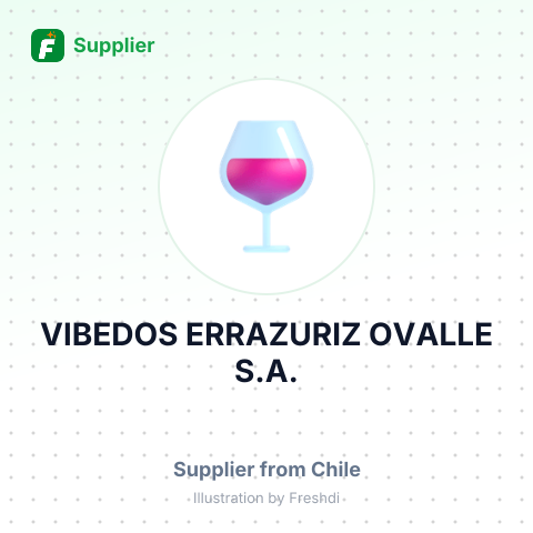 VIBEDOS ERRAZURIZ OVALLE S.A. – summary card, no photo uploaded yet