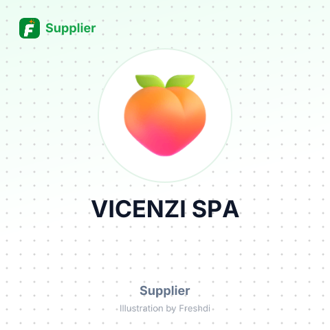 VICENZI SPA – summary card, no photo uploaded yet