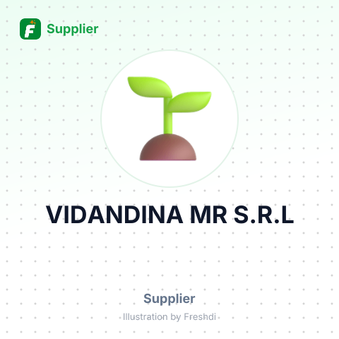 VIDANDINA MR S.R.L – summary card, no photo uploaded yet