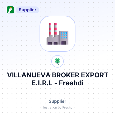 VILLANUEVA BROKER EXPORT E.I.R.L – summary card, no photo uploaded yet