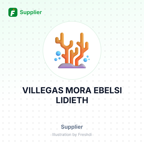 VILLEGAS MORA EBELSI LIDIETH – summary card, no photo uploaded yet