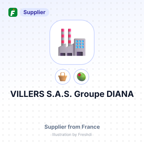 VILLERS S.A.S. Groupe DIANA – summary card, no photo uploaded yet
