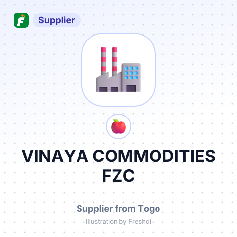 VINAYA COMMODITIES FZC – summary card, no photo uploaded yet