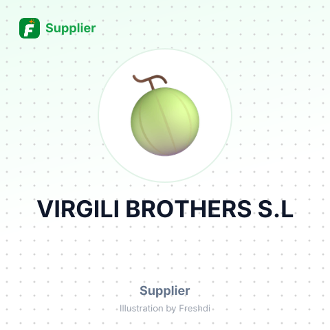 VIRGILI BROTHERS S.L – summary card, no photo uploaded yet