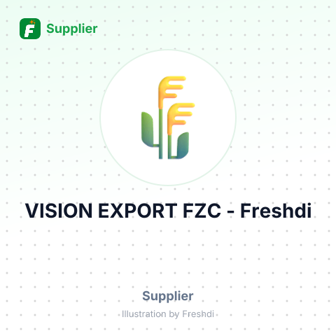 VISION EXPORT FZC – summary card, no photo uploaded yet