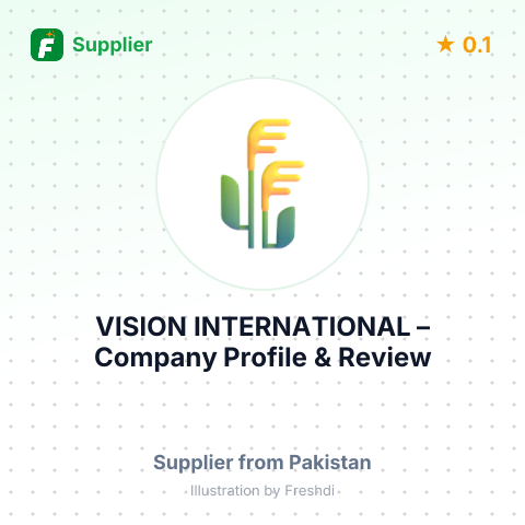VISION INTERNATIONAL – summary card, no photo uploaded yet