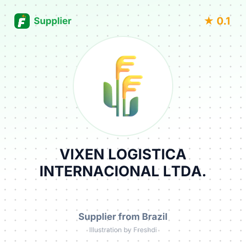 VIXEN LOGISTICA INTERNACIONAL LTDA. – summary card, no photo uploaded yet
