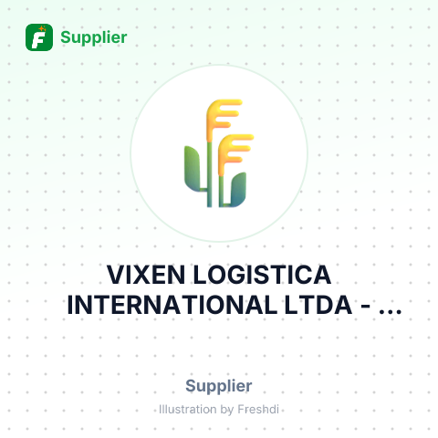 VIXEN LOGISTICA INTERNATIONAL LTDA – summary card, no photo uploaded yet