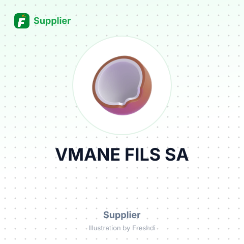 VMANE FILS SA – summary card, no photo uploaded yet