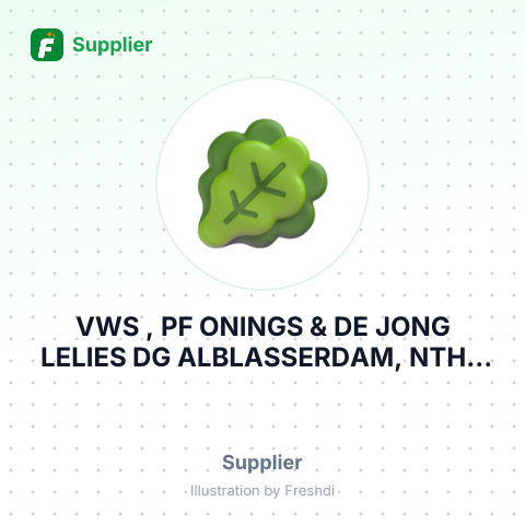 VWS , PF ONINGS & DE JONG LELIES DG ALBLASSERDAM, NTH – summary card, no photo uploaded yet