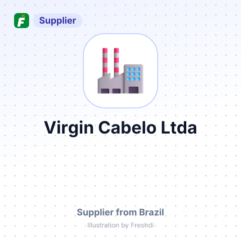 Virgin Cabelo Ltda – summary card, no photo uploaded yet