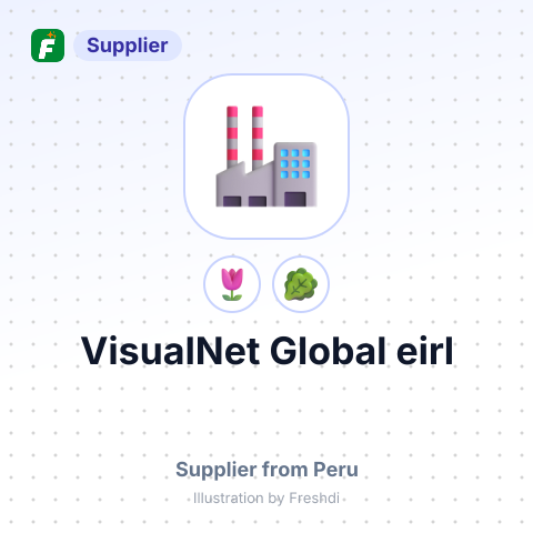 VisualNet Global eirl – summary card, no photo uploaded yet