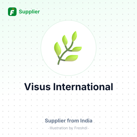 Visus International – summary card, no photo uploaded yet