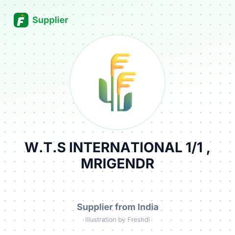 W.T.S INTERNATIONAL 1/1 , MRIGENDR – summary card, no photo uploaded yet