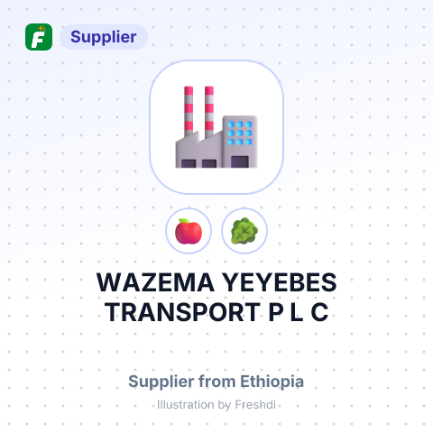 WAZEMA YEYEBES TRANSPORT P L C – summary card, no photo uploaded yet