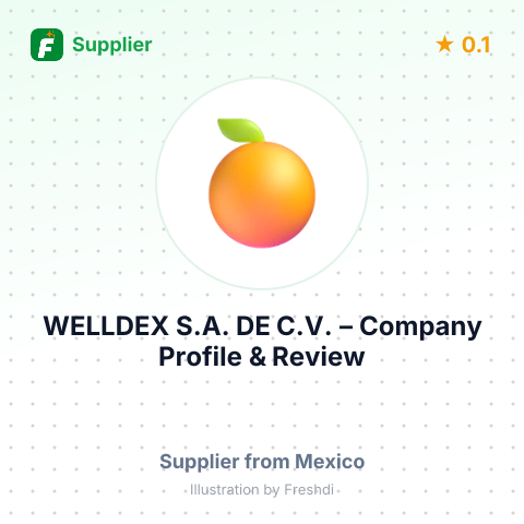 WELLDEX, S.A. DE C.V. – summary card, no photo uploaded yet
