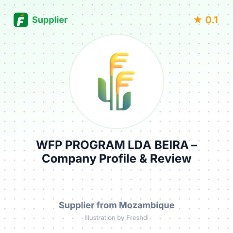 WFP PROGRAM LDA BEIRA – summary card, no photo uploaded yet
