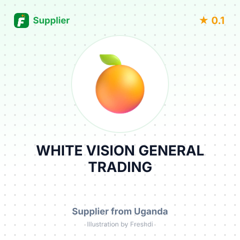WHITE VISION GENERAL TRADING – summary card, no photo uploaded yet