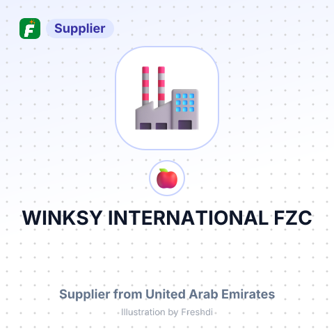 WINKSY INTERNATIONAL FZC – summary card, no photo uploaded yet