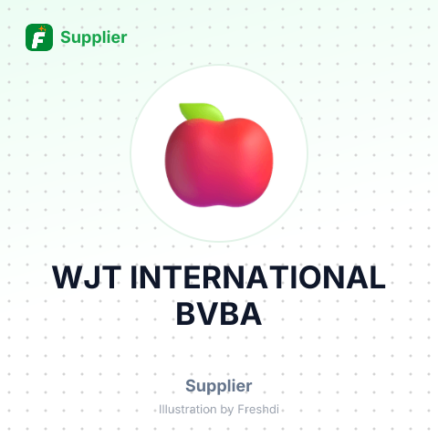 WJT INTERNATIONAL BVBA – summary card, no photo uploaded yet
