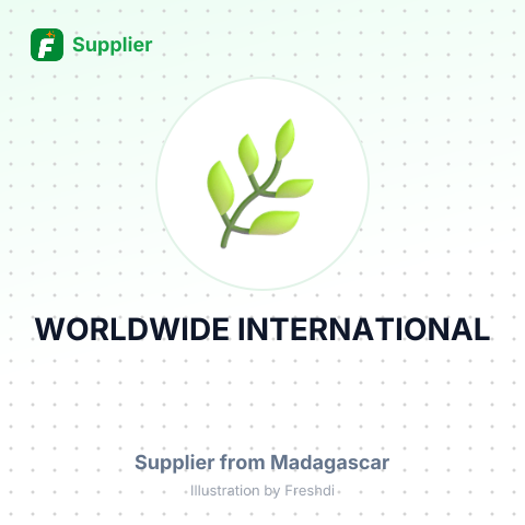 WORLDWIDE INTERNATIONAL – summary card, no photo uploaded yet