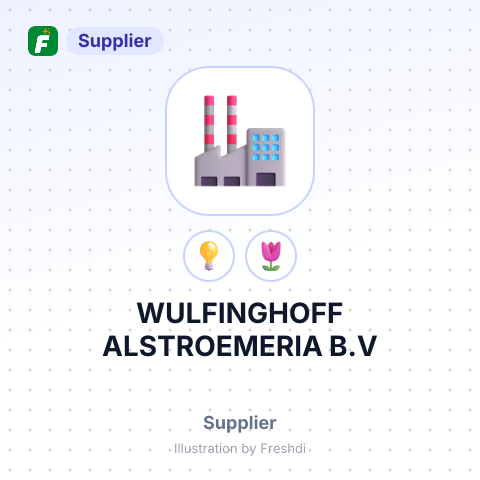WULFINGHOFF ALSTROEMERIA B.V – summary card, no photo uploaded yet