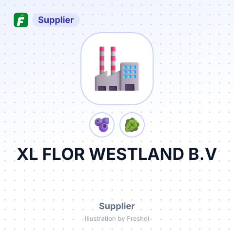 XL FLOR WESTLAND B.V – summary card, no photo uploaded yet
