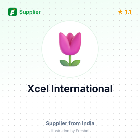 Xcel International  – summary card, no photo uploaded yet
