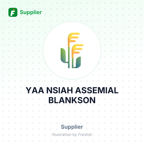 YAA  NSIAH ASSEMIAL BLANKSON – summary card, no photo uploaded yet