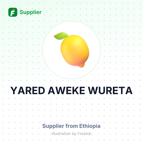 YARED AWEKE WURETA – summary card, no photo uploaded yet