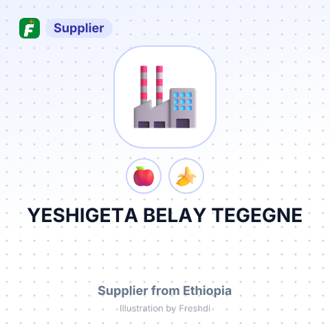 YESHIGETA BELAY TEGEGNE – summary card, no photo uploaded yet