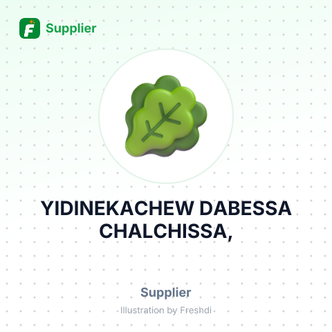 YIDINEKACHEW DABESSA CHALCHISSA, – summary card, no photo uploaded yet