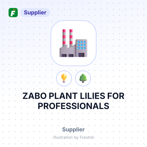 ZABO PLANT LILIES FOR PROFESSIONALS – summary card, no photo uploaded yet