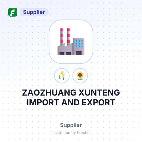 ZAOZHUANG XUNTENG IMPORT AND EXPORT – summary card, no photo uploaded yet