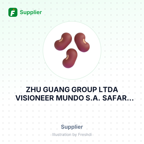 ZHU GUANG GROUP LTDA VISIONEER MUNDO S.A. SAFARI LTDA PLACER LTDA – summary card, no photo uploaded yet