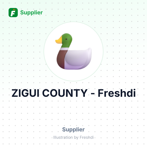 ZIGUI COUNTY – summary card, no photo uploaded yet