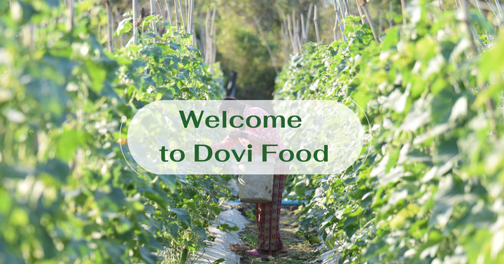 🍍 Dovi Food Co., Ltd – Trusted Vietnamese Producer of Canned & Frozen Fruits and Vegetables on Freshdi!