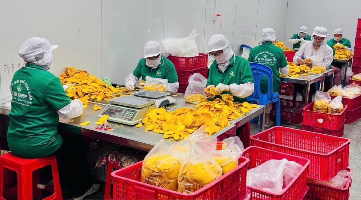 🌱 Le Gia Group Import Export Company Limited – Trusted Supplier of Dried Fruits & Agri-Exports from Vietnam on Freshdi!