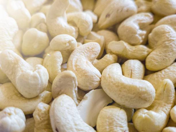 Top 9 Cashew Nut Suppliers in Vietnam in Week 17 of 2025