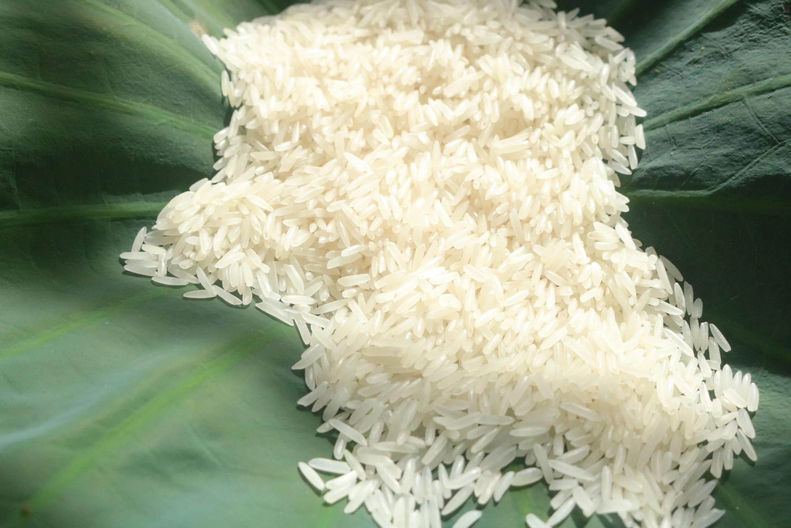 IMG_9471-scaled-1 Famous Delicious and High-Yield Rice Varieties in Southeast Asia