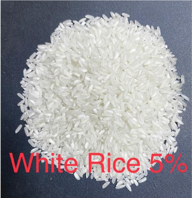 🌾 GIA HUNG TRADING & MANUFACTURING – Vietnam’s Rising Rice Exporter Gaining Momentum on Freshdi
