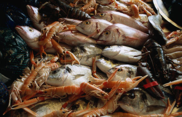 Top 7 Seafood Suppliers in Thailand in July 2025: A Data-Driven Look at Thailand’s Seafood Export Market